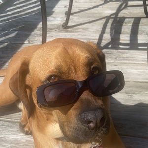 Meet your Posher, Madison